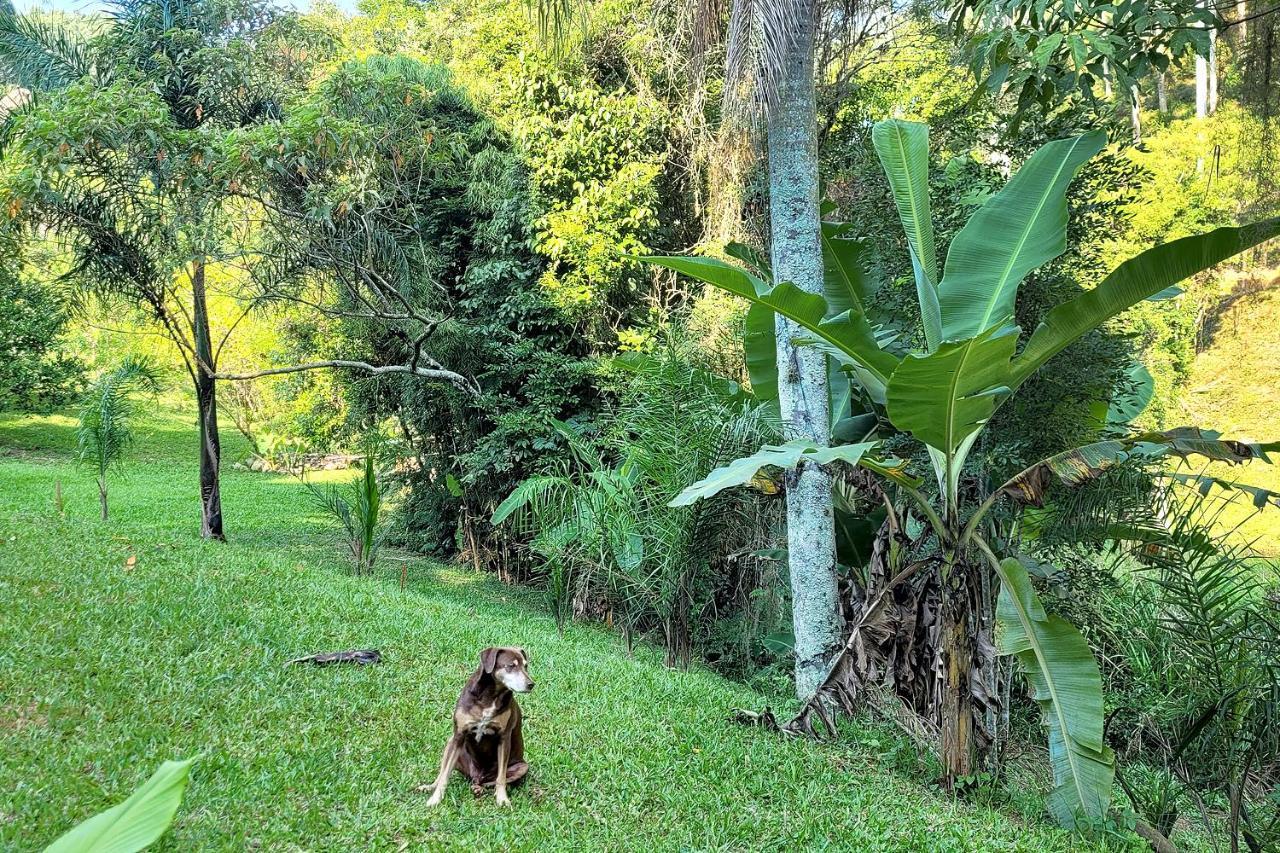 Recanto Dos Sabias - Chales Sao Bonifacio Sc エクステリア 写真